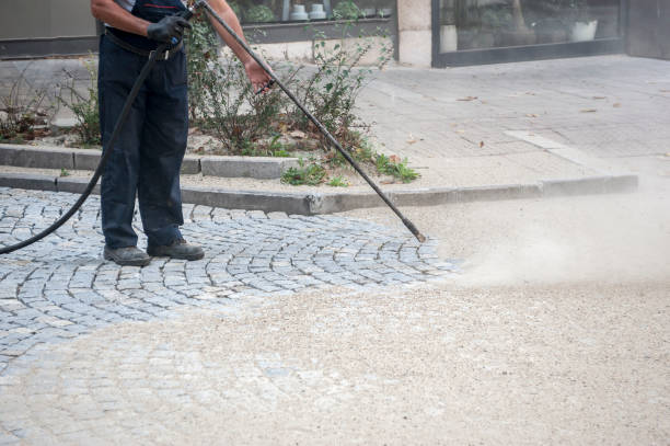 Best Sidewalk and Walkway Cleaning  in Lehigh Acres, FL